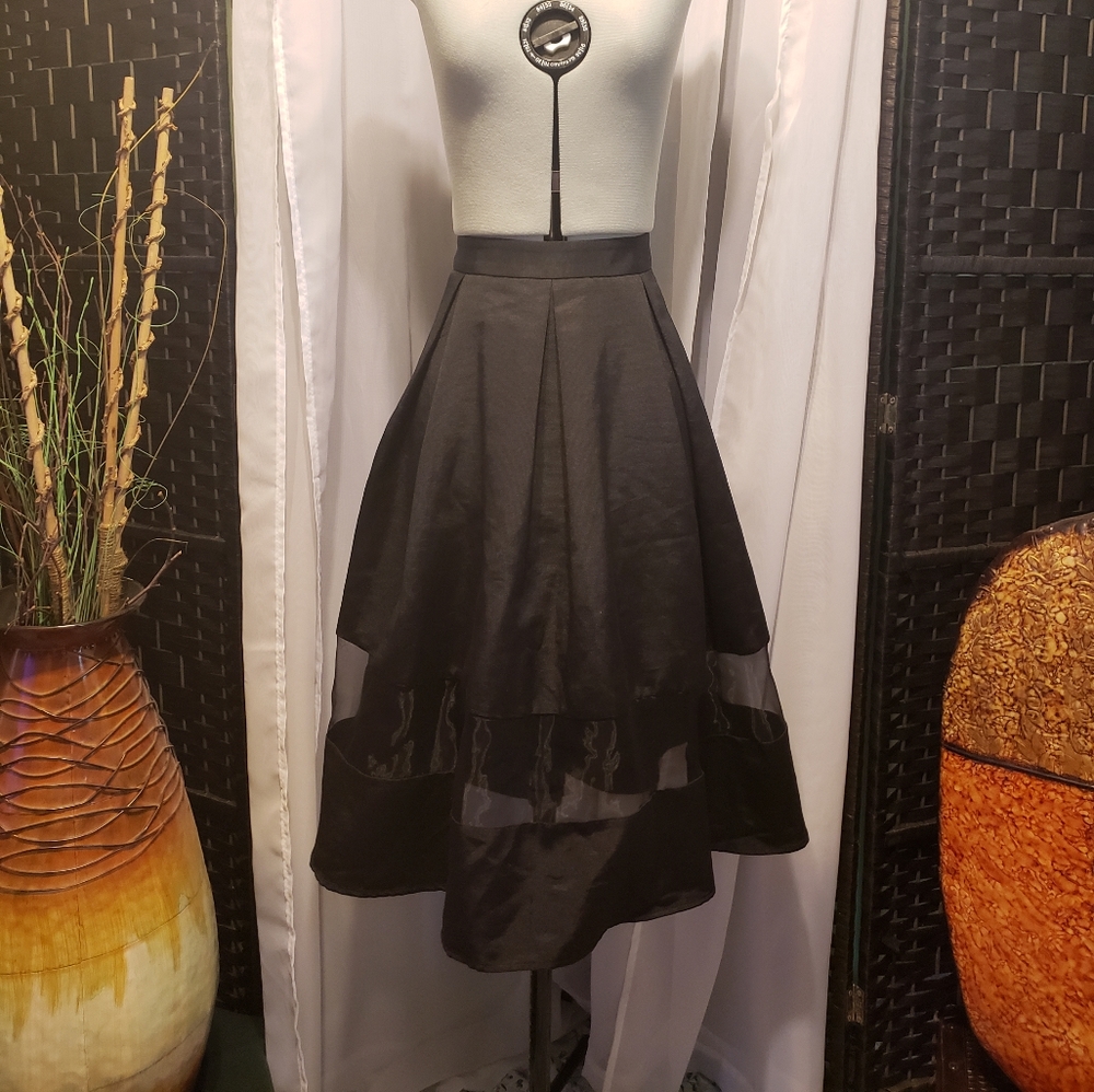 Express Pleated Skirt with Sheer Panel